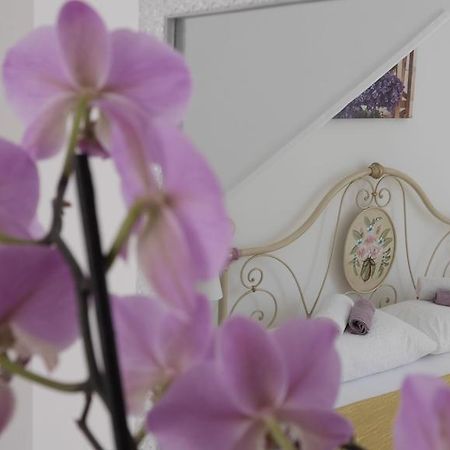 Villa Claudia Fažana Kamer foto